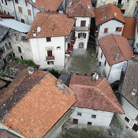 Dina's Flower House * ليرنا