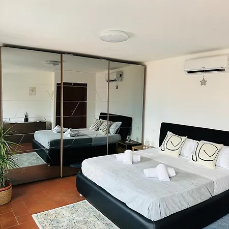 Dina's Flower House *