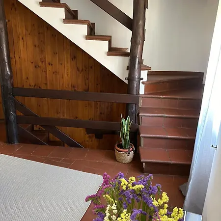 Dina's Flower House Prázdninový dům *