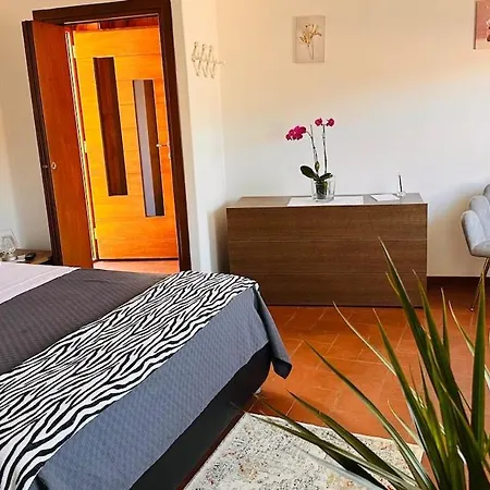 Dina's Flower House *